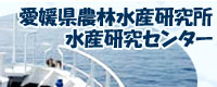 愛媛県農林水産研究所水産研究センター