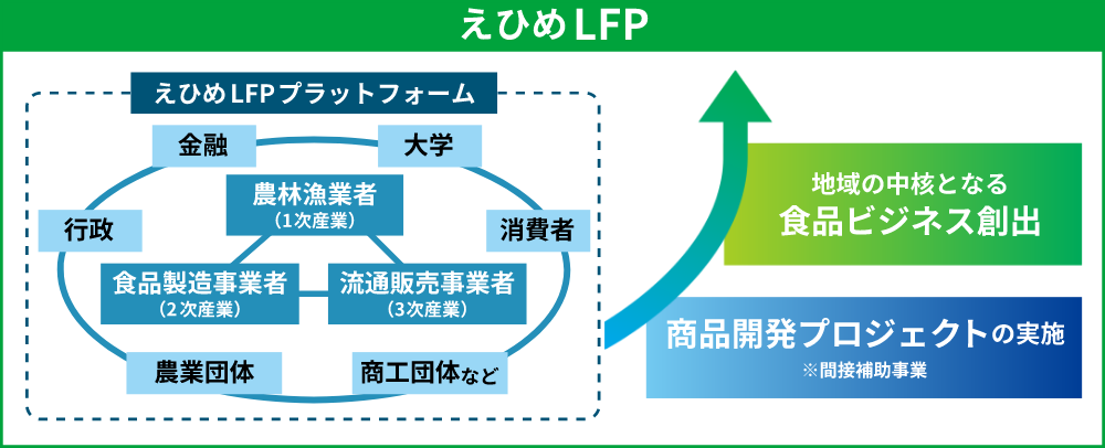 えひめLFPの枠組の図