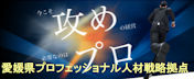 愛媛県プロフェッショナル人材戦略拠点