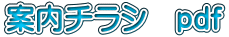 案内チラシ pdf